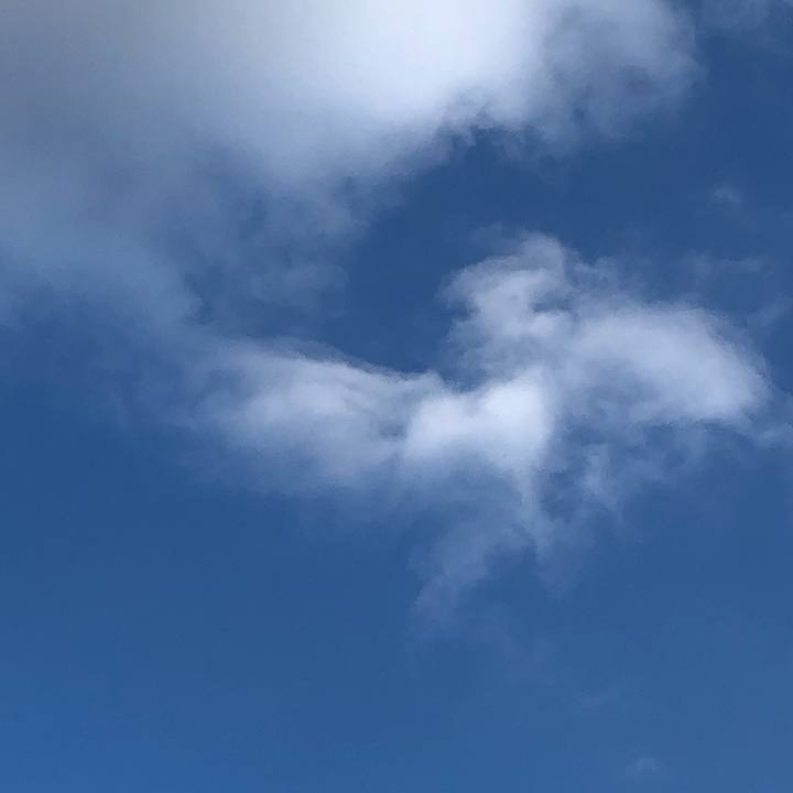 7d6f88e5 aaa9 46e5 8ac2 a0f97f9490e6 1607419649249