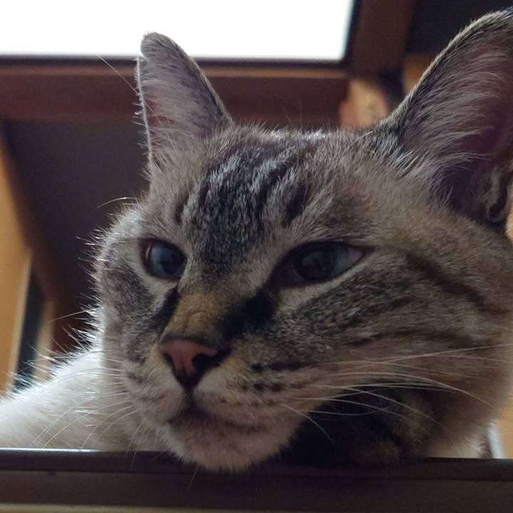 7d6f8ff0 a7d0 4d3d 8583 8e04b97beb30 1725108179035