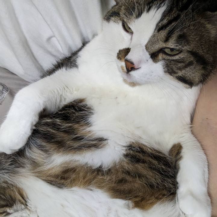 7d6fc577 5550 467d 9d77 6fe91fb58c07 1695992878656