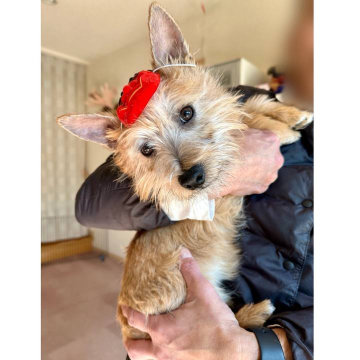 7d6fc590 a0ab 44c9 af30 c0f4f787c930 1706969624520