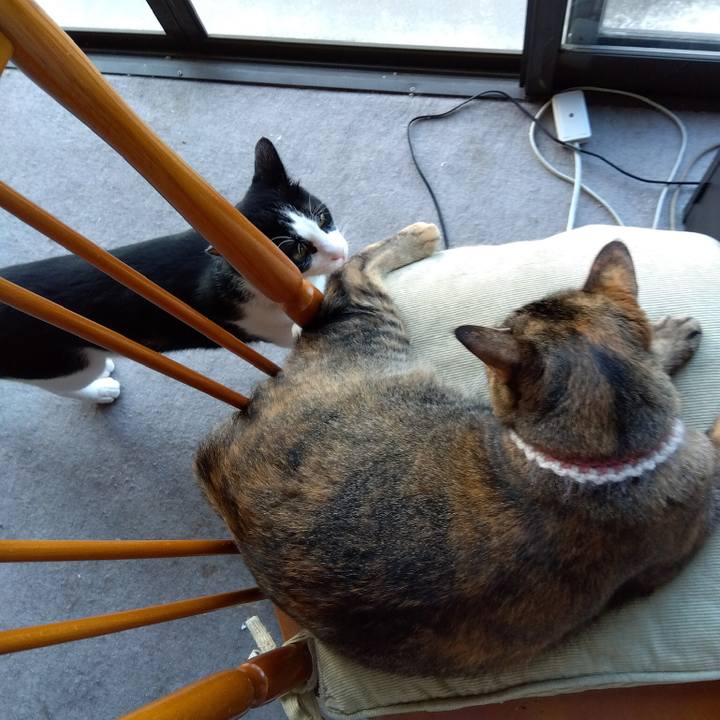 7d6fd823 2594 4665 88a3 915d30c4b3aa 1659502881029