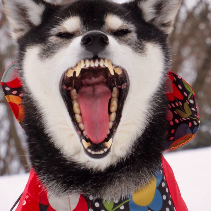 7d6fd842 eeb4 4f50 ba3d d01e0ddc824f 1611476292239