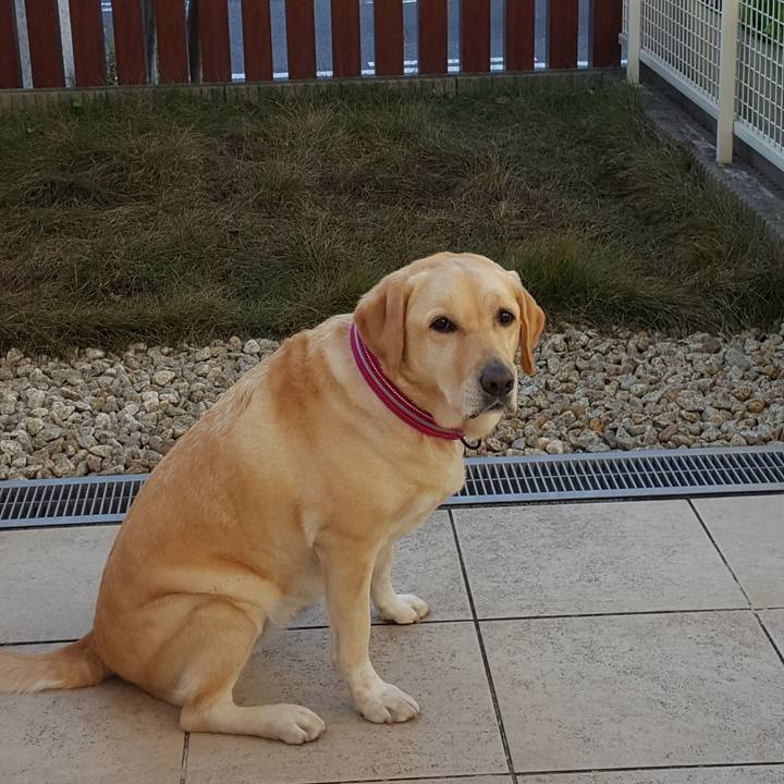 7d6fef9c ded5 4045 9c6e acab17bbe297 1545187276642