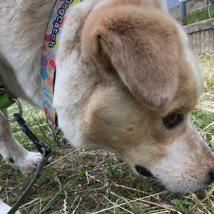 7d6ffd0c 5b76 42b8 b82f a92564f14727 1527478682142