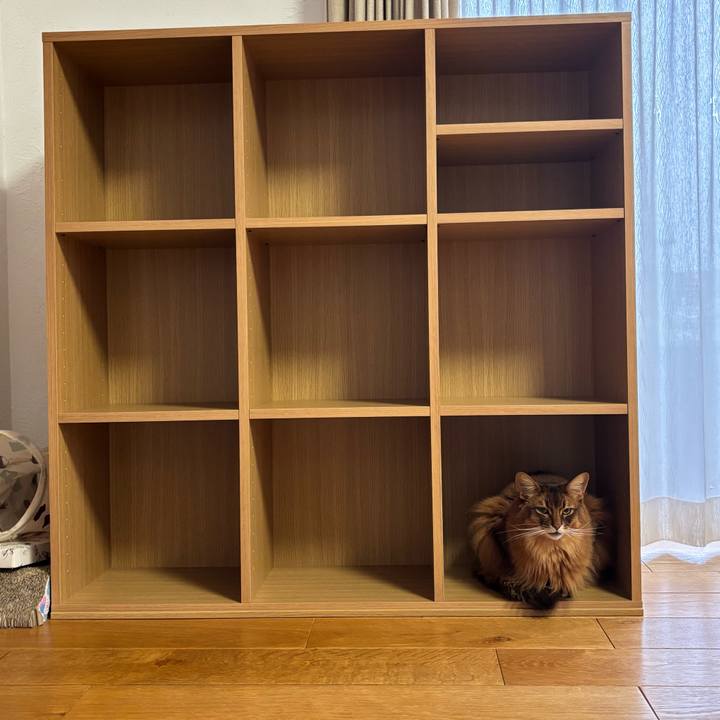 7d701df4 4cb4 4cf6 99c0 600a1aec39e2 1746148851053