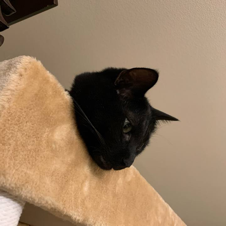 7d703d52 84eb 4e2f bb68 f1d8102d3afd 1590160345877