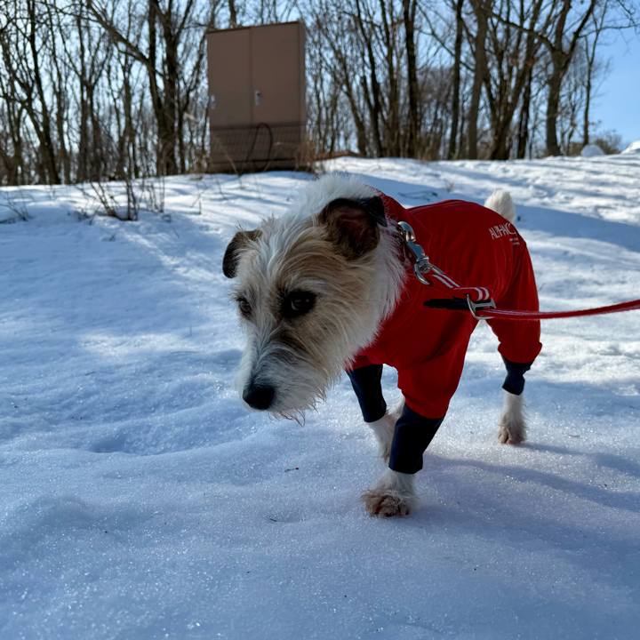 7d7041bc 7912 4244 908d 3dbb9901d431 1768716722908