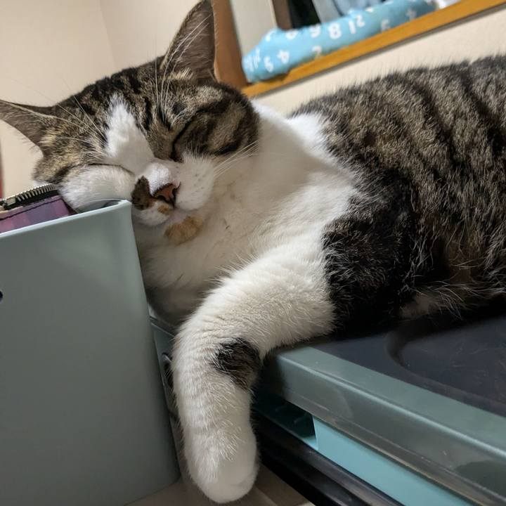 7d704551 7260 441e ae35 16fbc309156e 1725015653710