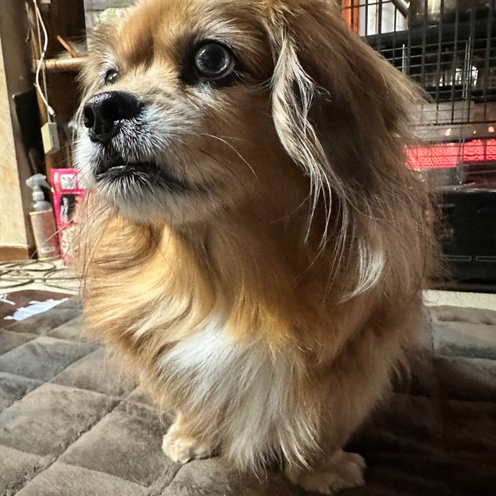 7d70711e f14c 4d97 a419 250ca17ffcf3 1764365471980