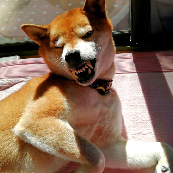 7d7081d8 a32b 4f2c a0fc 2e3fba3d4c16 1676514724912