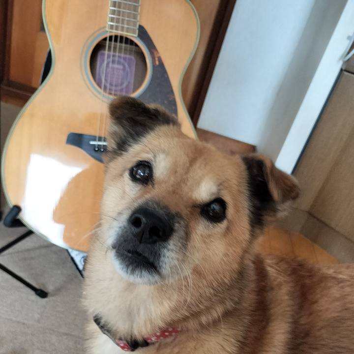 7d709750 1e56 4d25 ac87 8cdb2c9adf40 1734758924607