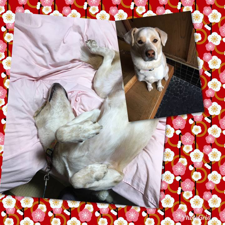 7d70bde4 da64 455a ac91 4af922194cba 1515294439375