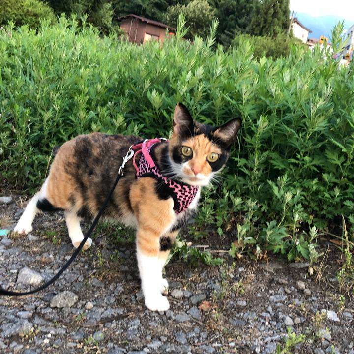 7d70eb98 9f64 4320 b089 87a100558885 1531833496669