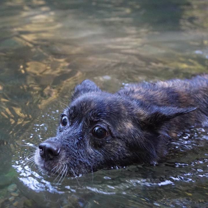 7d7105f9 d427 46b4 8978 1b99e64f5c9b 1564533391802