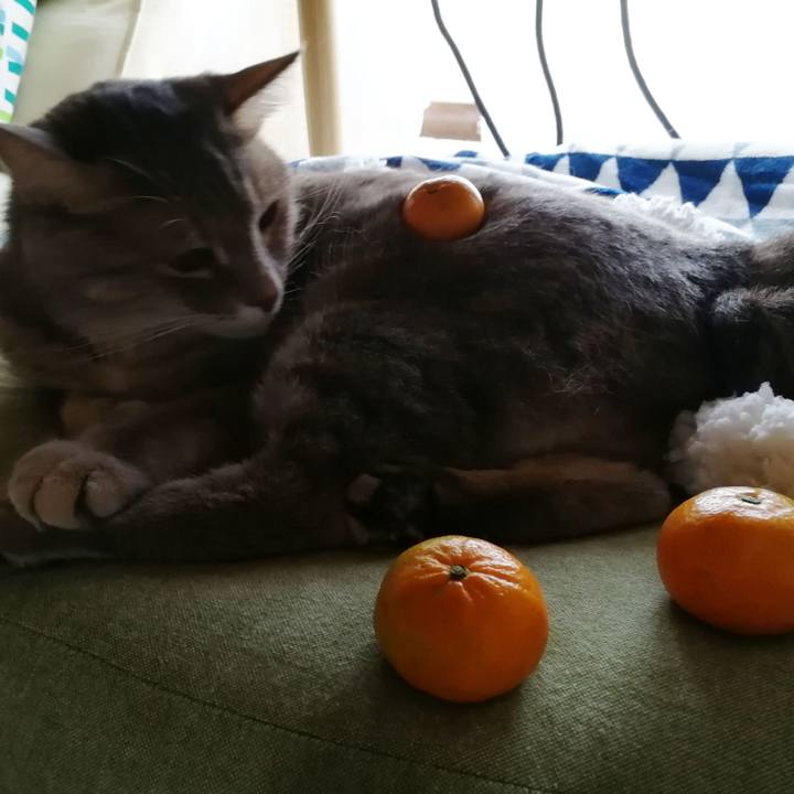 7d7109d0 43fa 4a69 886d cdc9339ac506 1542432807383