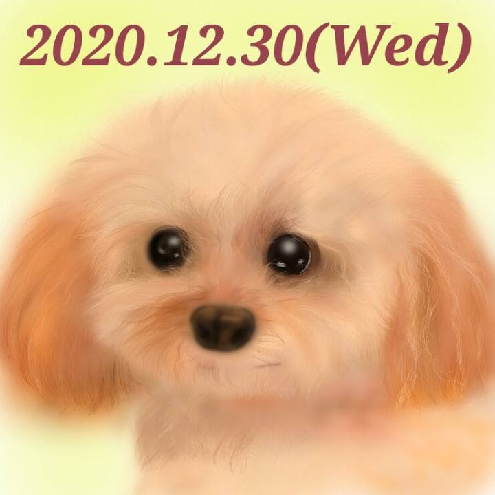 7d710ba7 c24a 496e a3ec fd71ae580168 1609307219584