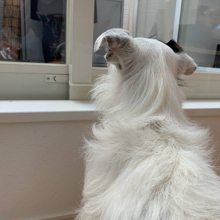 7d7163c4 7896 4728 94aa 972338d3ba08 1588841430993