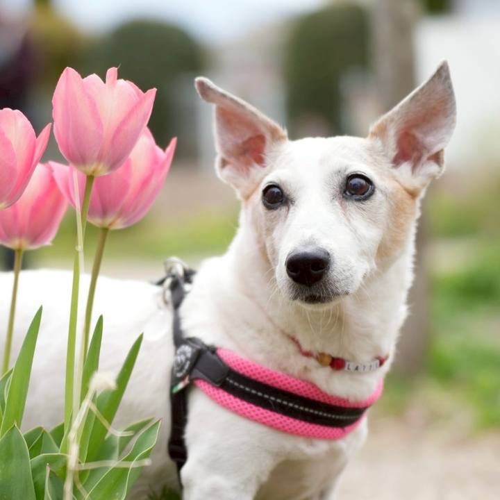 7d71a841 4d00 4b5d 95b2 6d2e416cf011 1767170952558