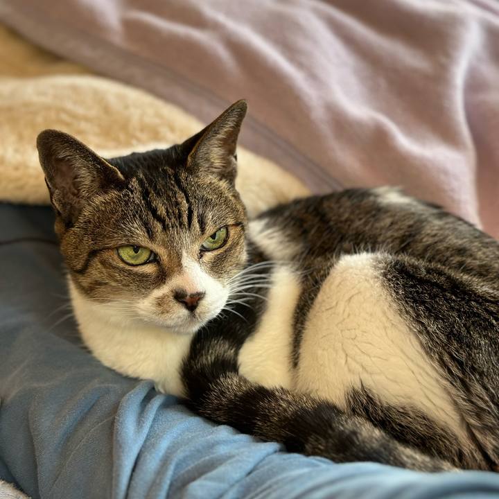 7d71b73c a5af 46a3 828b f91f80c84776 1679364816456