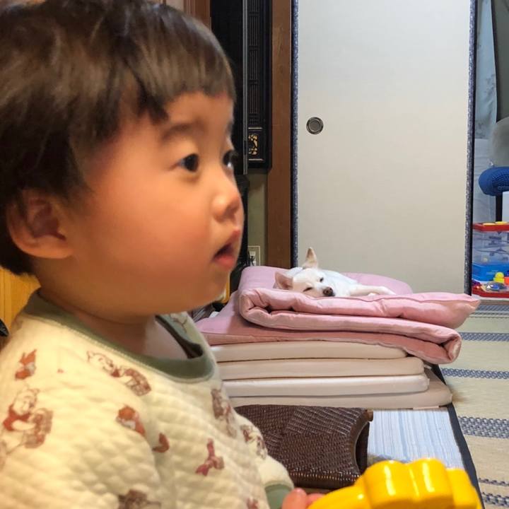 7d71c1ae 4b35 4086 9e75 d664d0ee8e3a 1648888945967