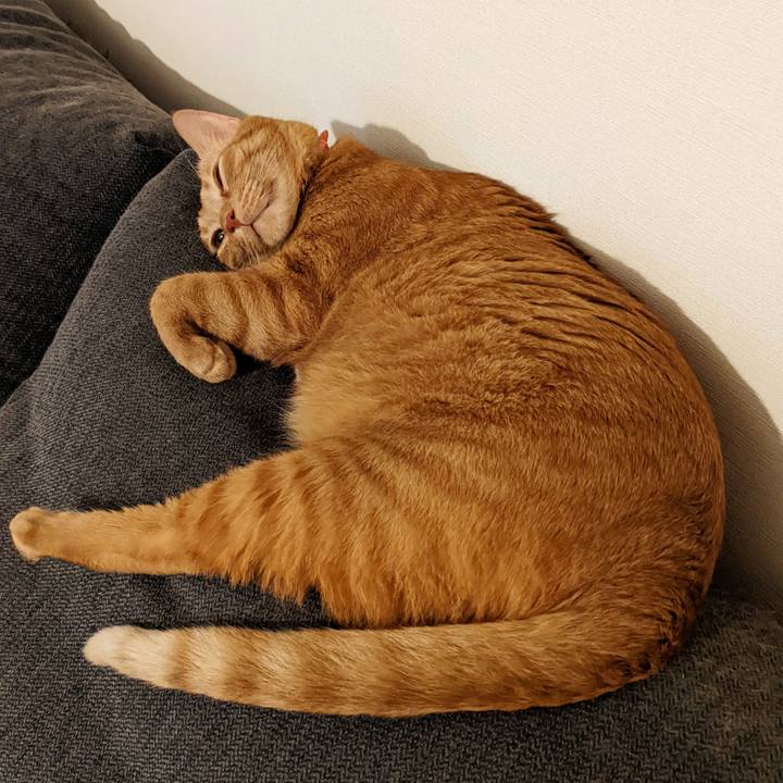 7d71ea05 fcf9 4d97 b401 c4cacac8687a 1662896817918