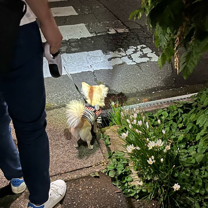 7d720bdd f834 47d3 a563 01379810b8c4 1727619159024