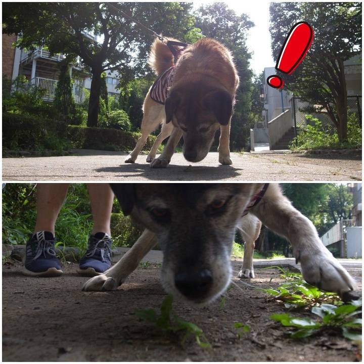 7d7221d5 76c1 4de5 868a df6dbe336b20 1610937668987