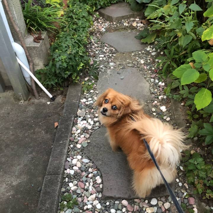 7d7235d0 ec6e 40eb 89e7 ccb7f7d1c276 1565478504948