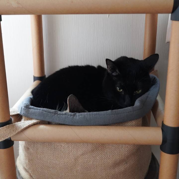 7d725f94 ffe7 491d 91f2 37e17e8f0464 1607868126223