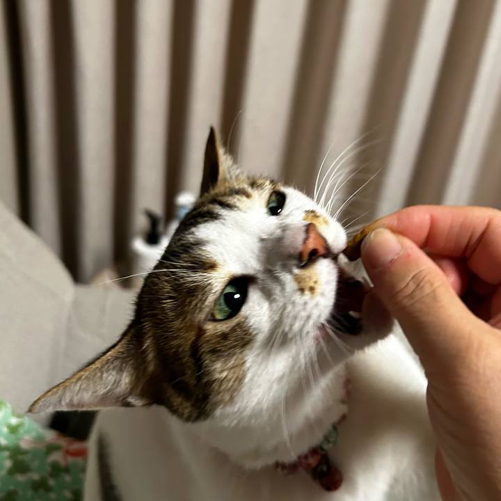 7d727728 c677 4bb4 91b9 cc38de8a7e2e 1756552028488