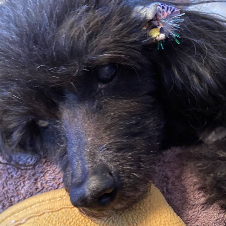 7d72bee7 3790 4546 a09c 3b2a47e5c4ad 1611715830646