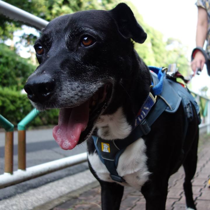 7d72ce7a eac2 4105 a667 753310181697 1726787769709