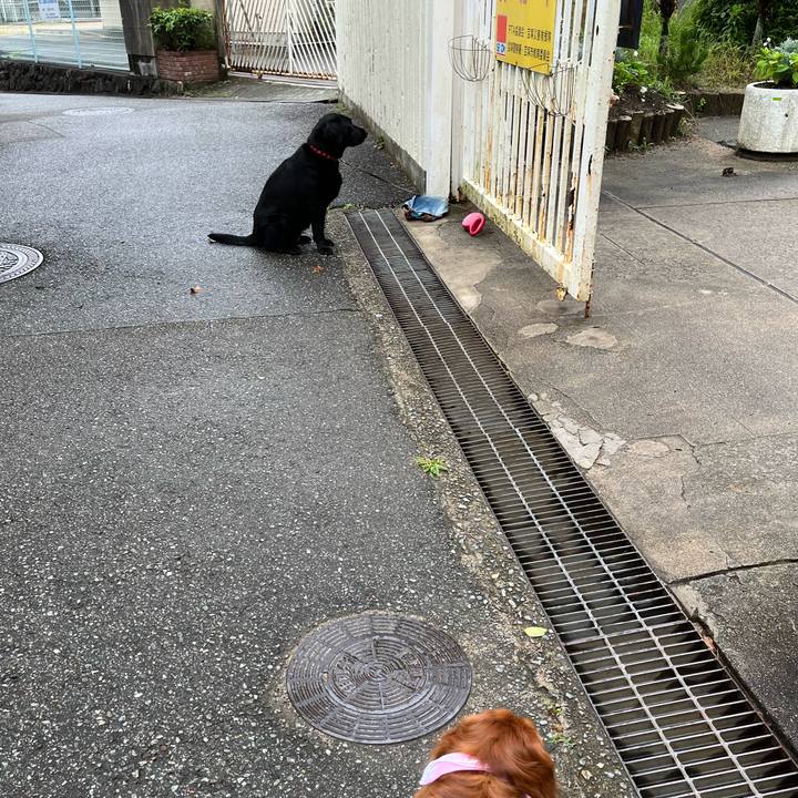 7d72ed2d e032 45f7 98fe b8a531239381 1657411303313