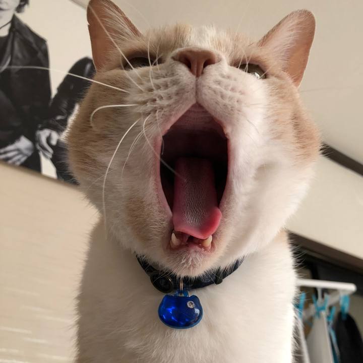 7d730069 8b9a 41c2 b9e7 3e794ed8d151 1518166795285