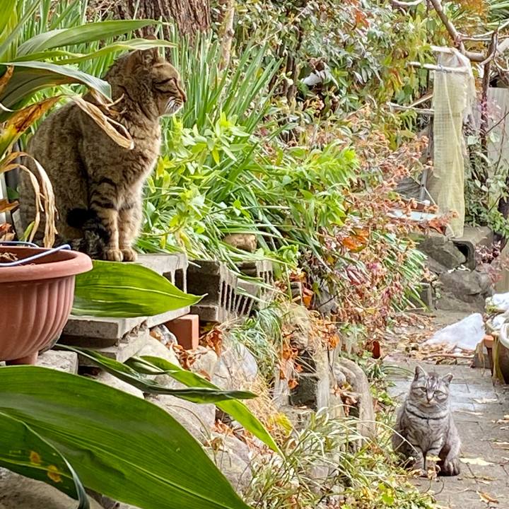 7d73055b 8772 41ac 98d9 c975959d111b 1609599019077