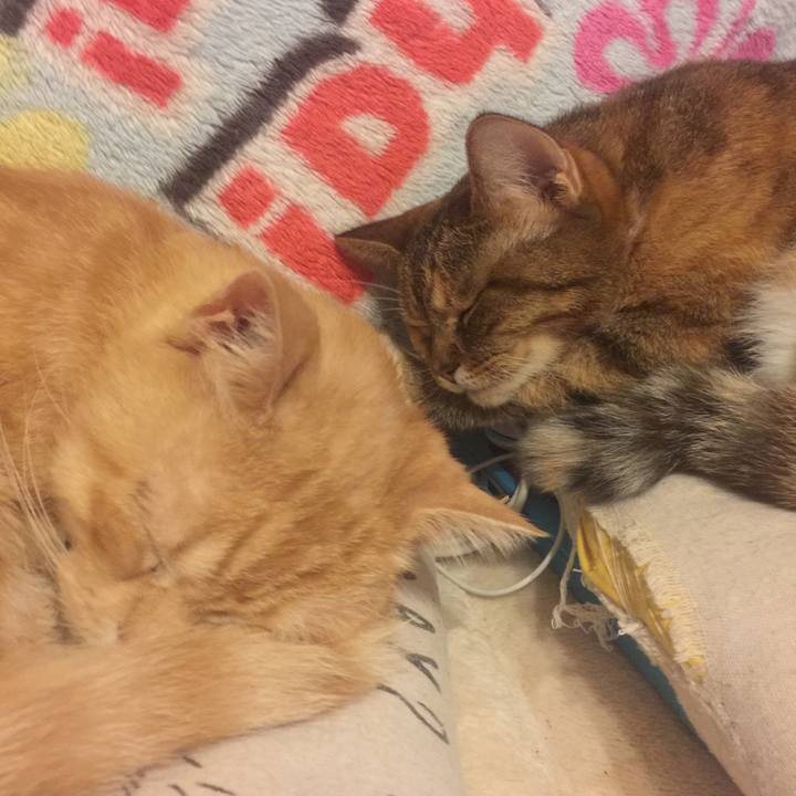 7d730ea4 47d5 4b8b bf05 37e0ec3895ed 1572354806921