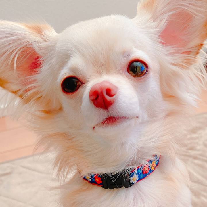 7d732d80 a8d1 4548 9025 ddbb2c790d64 1637757915366