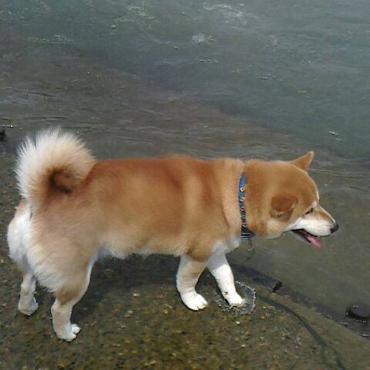 7d732d93 cefa 4fac 9545 e1eead89d8ea 1558181133074