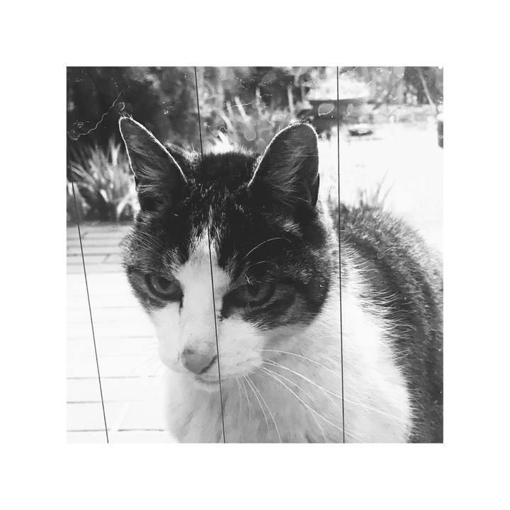 7d732e48 3408 4e5e 9951 7e58928b0b9e 1647915747082