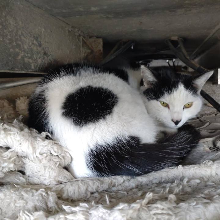 7d73c8f2 cdc2 4c64 a3a7 6b8bde84dbc7 1741918047543