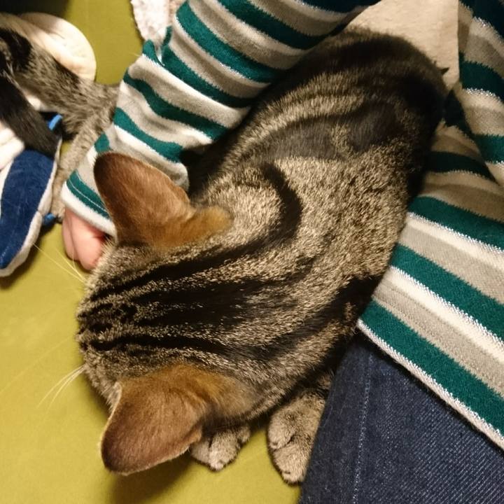 7d745ba0 c284 4895 b282 4f86877341f2 1517210308647