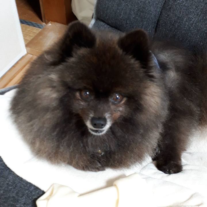 7d746e62 d00a 4da8 a1f8 86afc8995e9d 1520212612600