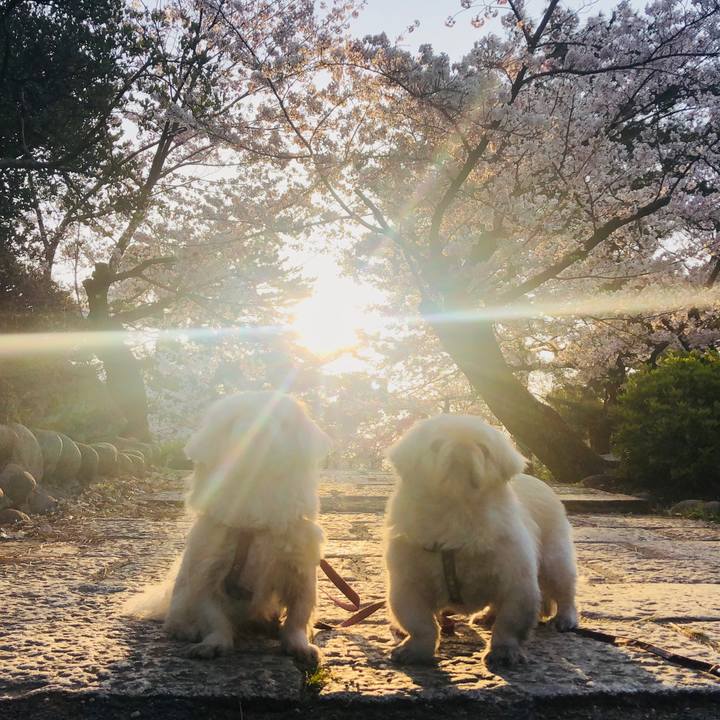 7d7496c9 7615 458b 9885 a73da8c94007 1586313612809