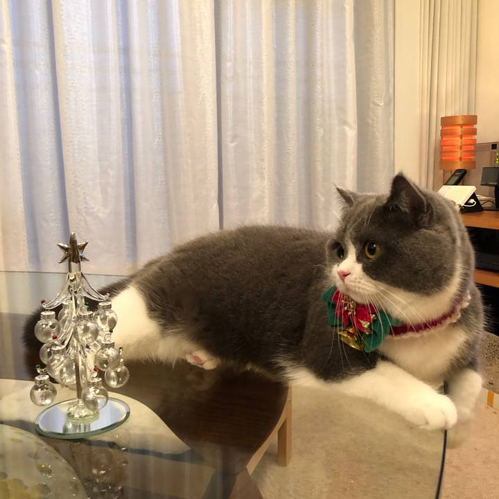 7d74a795 395e 4db6 ae8d 646b21a8b857 1545653469259