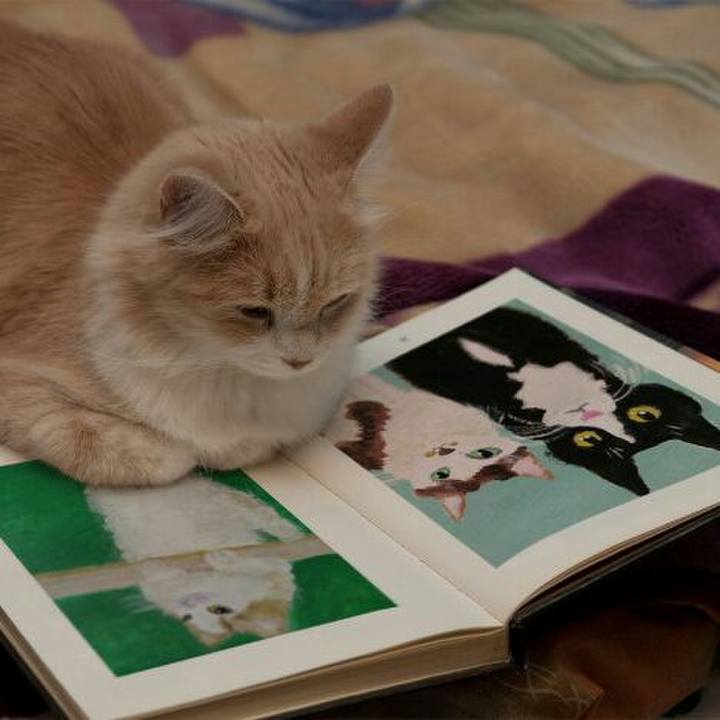 7d74bc5a b285 4aca 9ed1 67604f099577 1526820753014