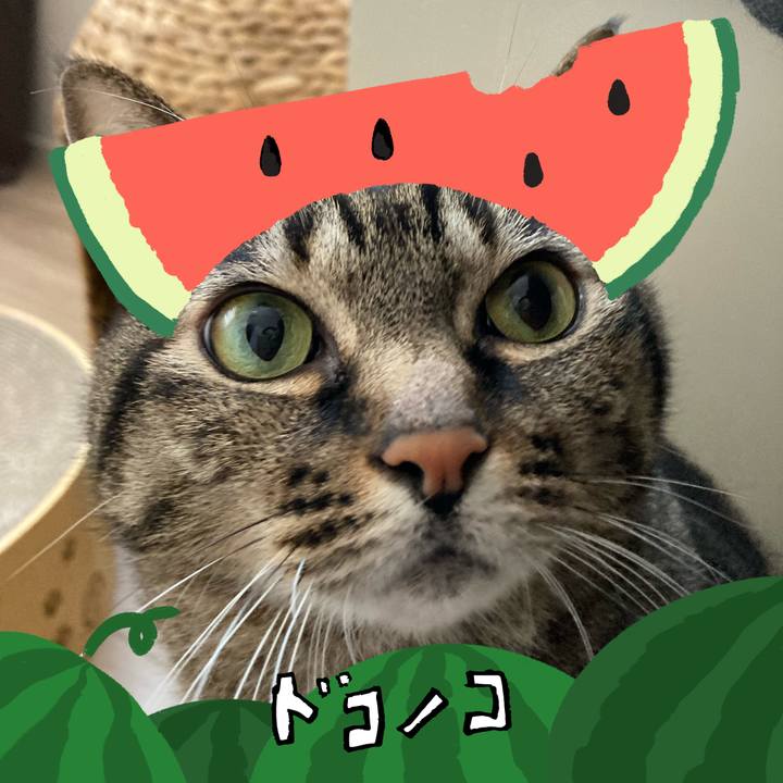 7d74db0d bcb6 4be9 870e 522ee646896c 1720756653075