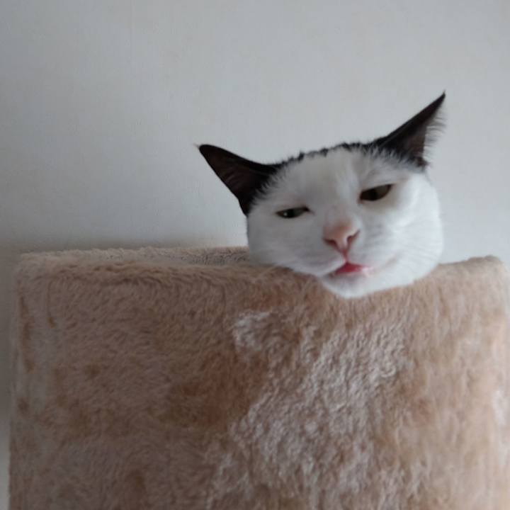 7d752707 f22b 4c9a ad70 dab8bbe9f551 1600223152902