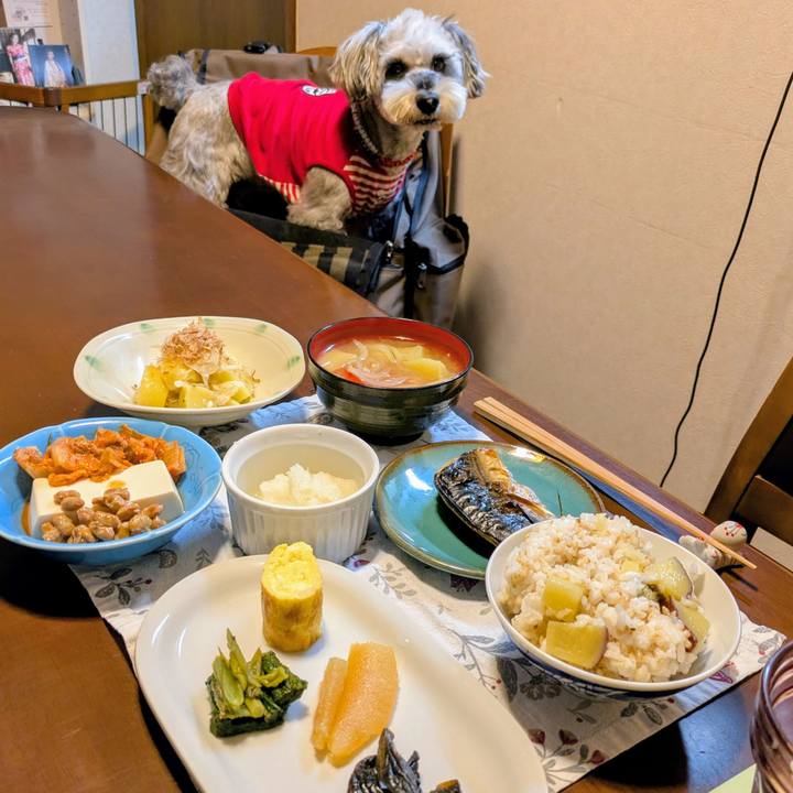 7d75ddf2 1ac5 488b b11b 1449cbed2160 1763131865667