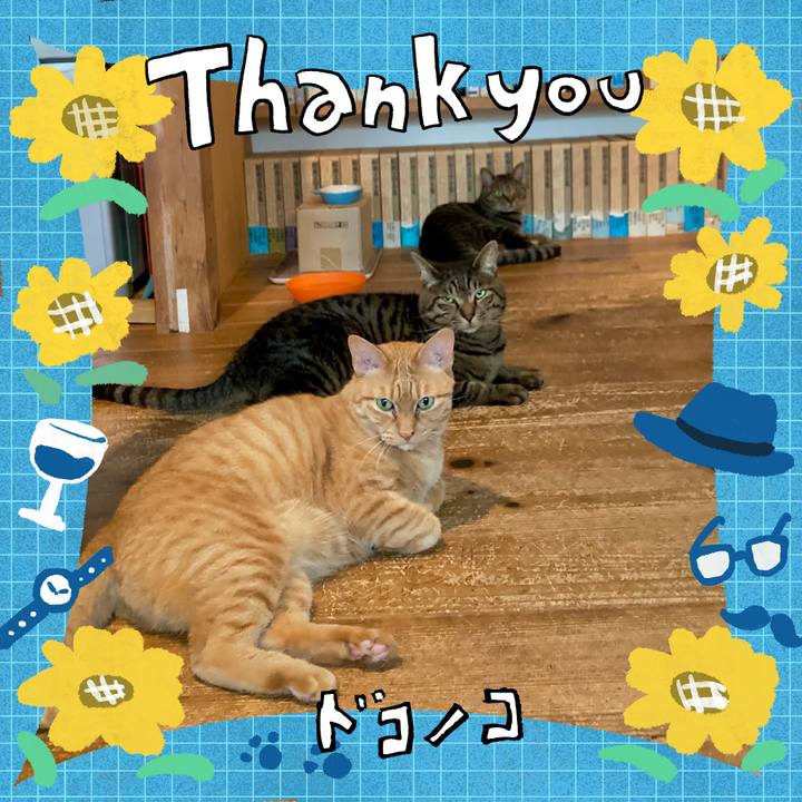 7d762d7e b22f 4692 81f1 e17436e80660 1717804759475