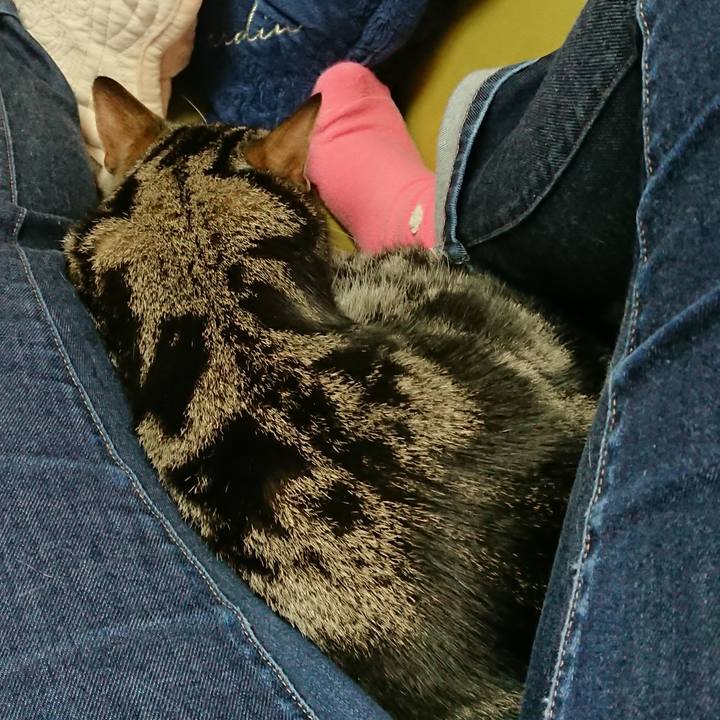 7d7634ec 3786 495f bdd0 ed0f9085eb07 1523177373677